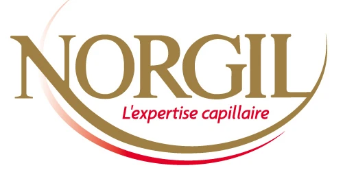 Norgil Expert Capillaire Chalon Sur Saone Logo